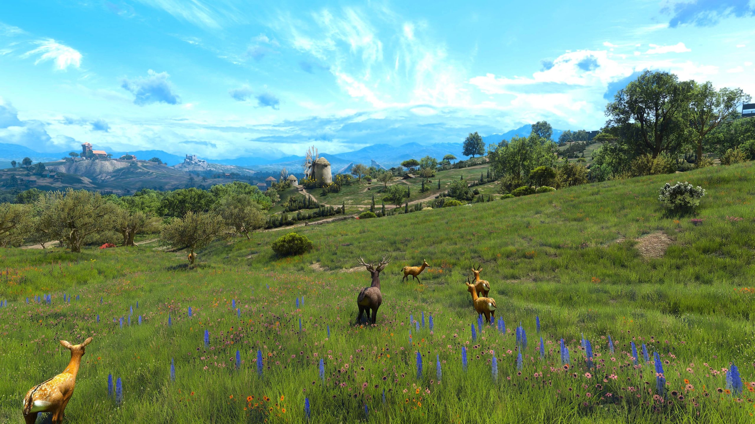مد جدید Grass Overhaul با کیفیت بالا برای بازی The Witcher 3 منتشر شد